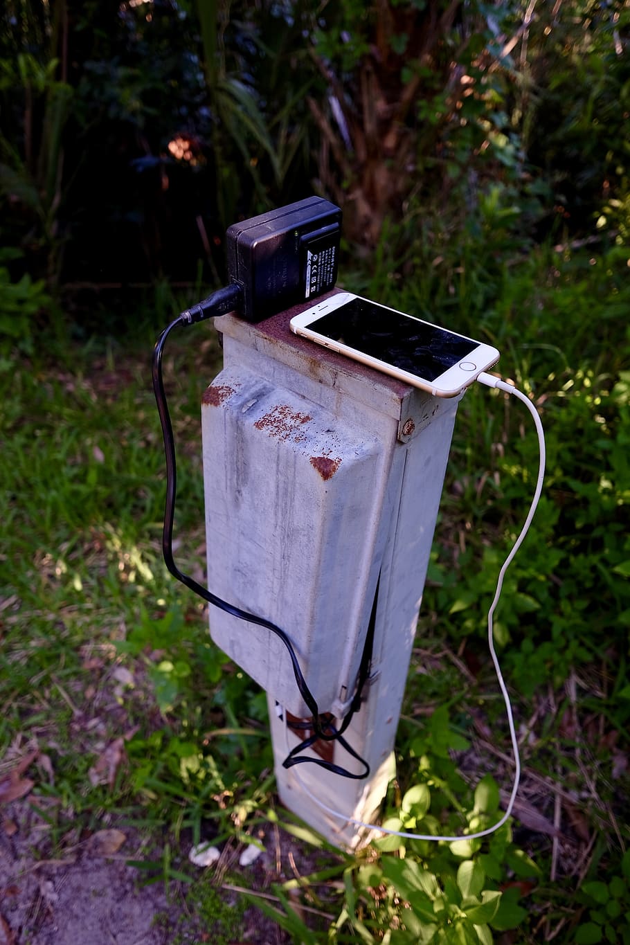 electronics, mailbox, letterbox, plant, leaf, adapter, green HD wallpaper