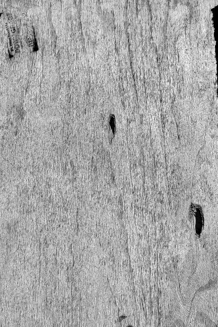rug, plant, tree, wall, wood, grass, ground, background, grayandblack HD wallpaper