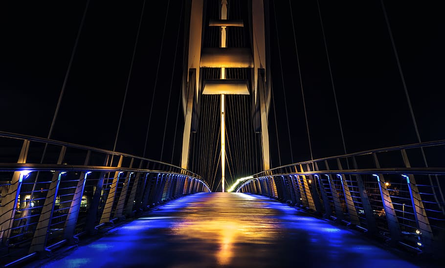 Lighted Suspension Bridge, architecture, illuminated, modern HD wallpaper