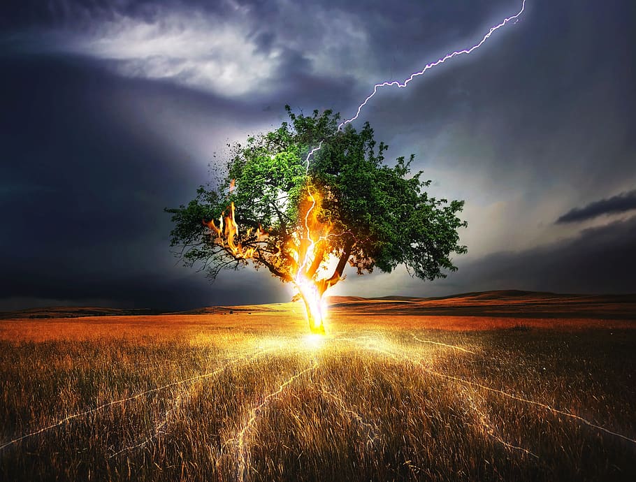 tree, flash, light, lightning, nature, hot, landscape, cloud - sky HD wallpaper