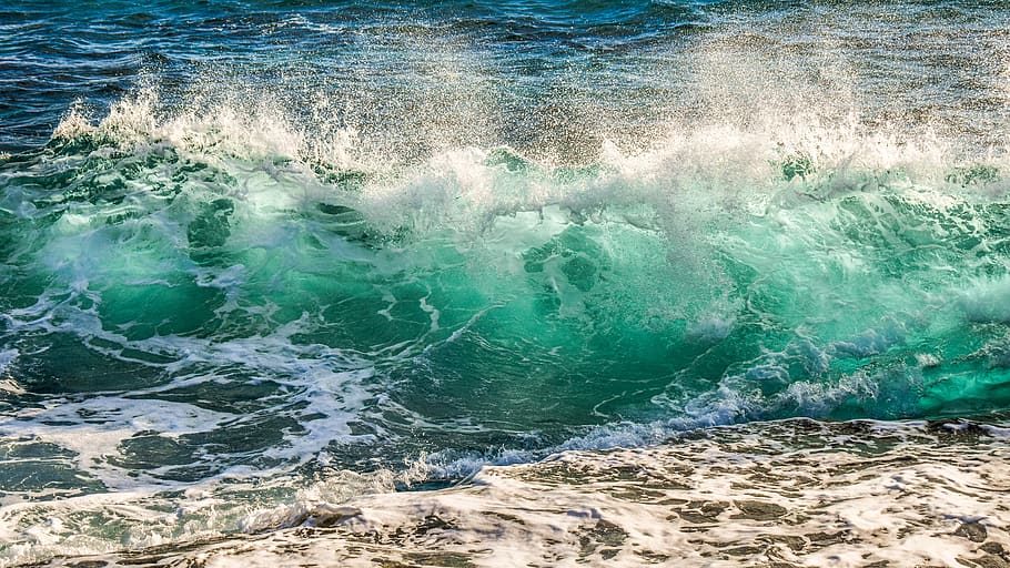 water, sea, surf, wave, ocean, splash, motion, wind, ocean waves HD wallpaper