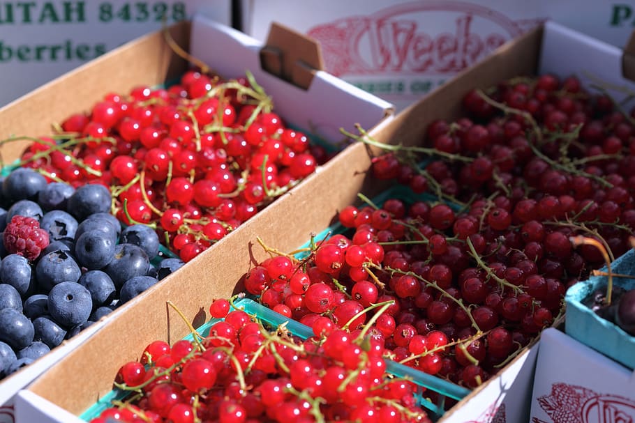 summer, berries, fruit, farmer's market, entrepreneurship, farm to table, HD wallpaper