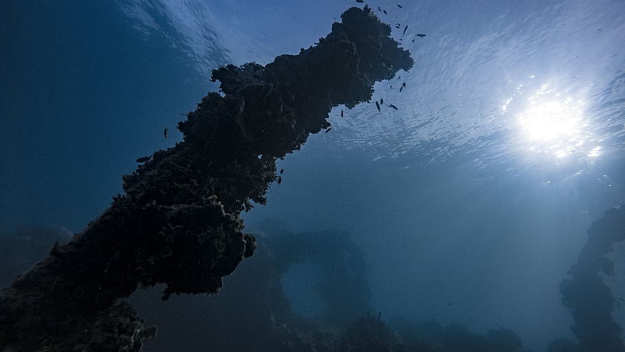 underwater photo, nature, outdoors, ocean, sea, micronesia, weno HD wallpaper