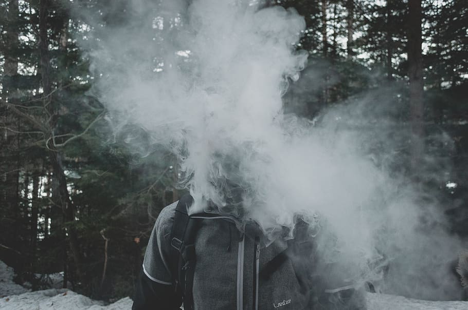 smoke, woods, dreamy, moody, forest, trick, white smoke, vapor, HD wallpaper