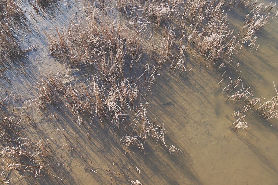 high angle view, day, no people, nature, land, water, outdoors HD wallpaper