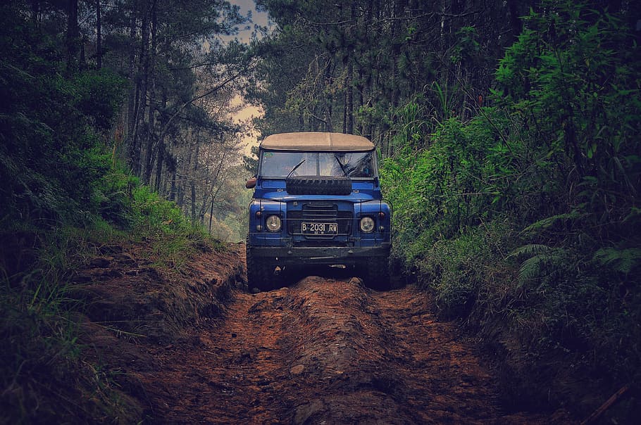 Blue Car on Dirt Road Between Green Leaf Trees, action, adventure, HD wallpaper