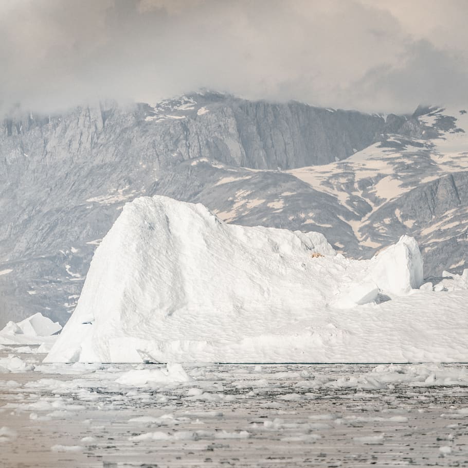 ice berg, cold temperature, snow, mountain, winter, environment HD wallpaper