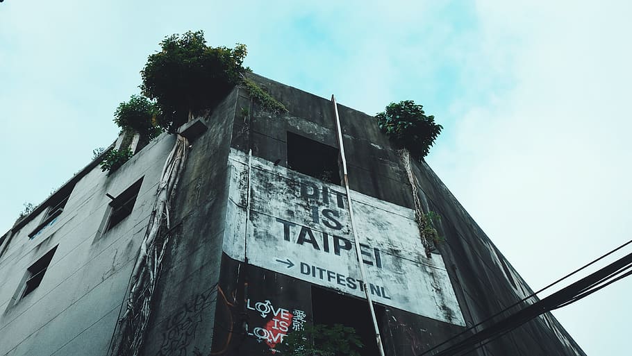 building, loft, apartment, abandon, abandoned, bush, plantation HD wallpaper