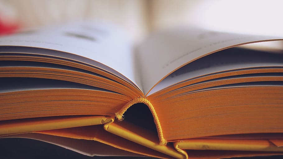 book, pages, reading, publication, education, open, paper, indoors HD wallpaper