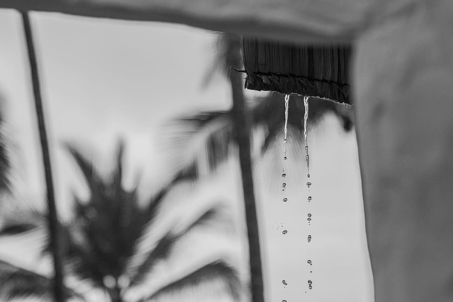 drops, brazil, bahia, rain, selective focus, close-up, no people HD wallpaper