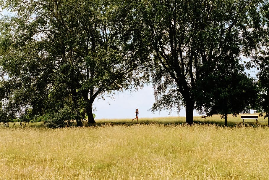 person running on grass field beside tree, outdoors, united kingdom
