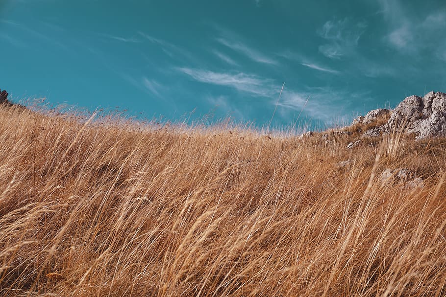 HD wallpaper: mountain, field, rocks, sky, grass, background, plant, day |  Wallpaper Flare