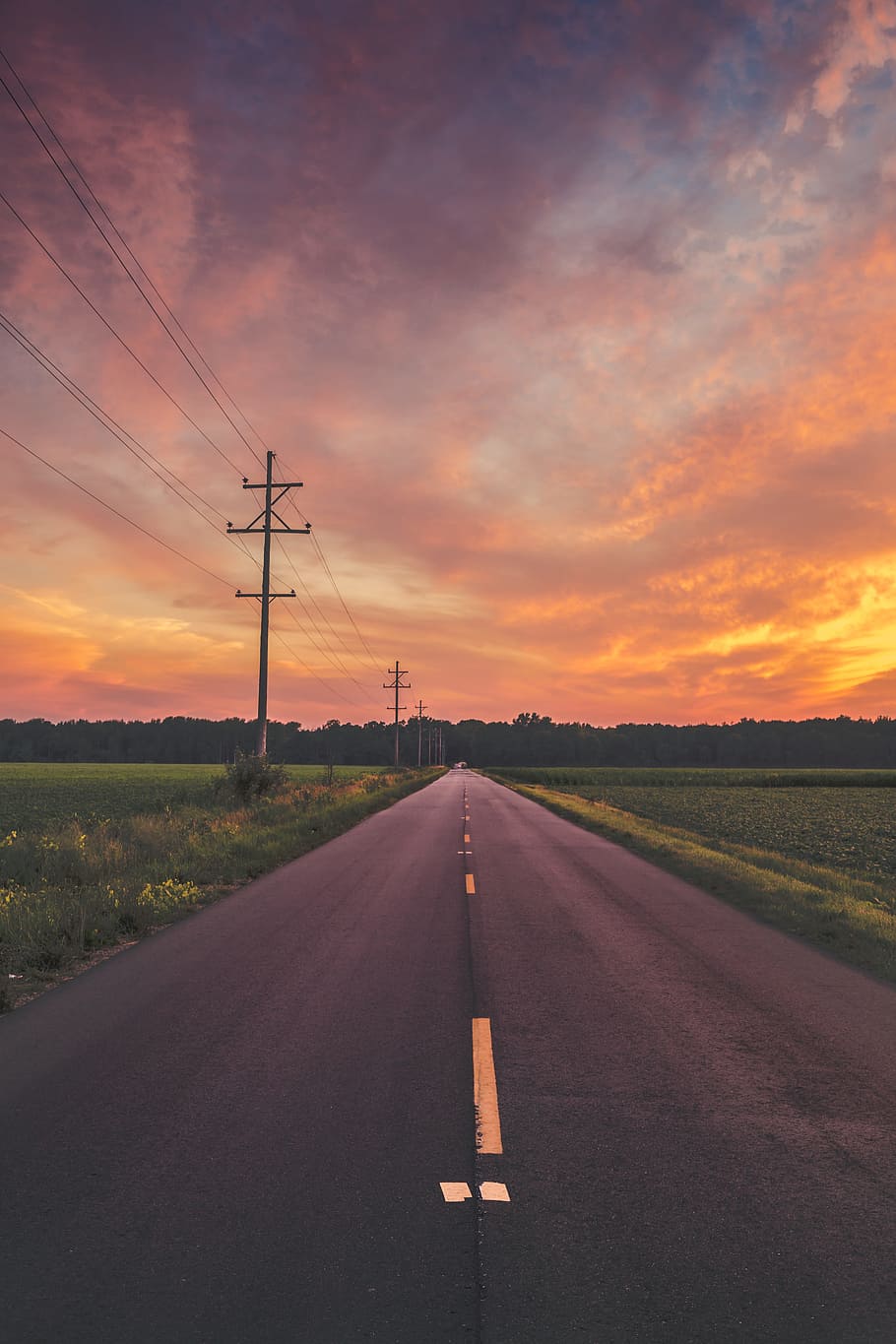 Narrow Road during Sunset, asphalt, countryside, evening, field
