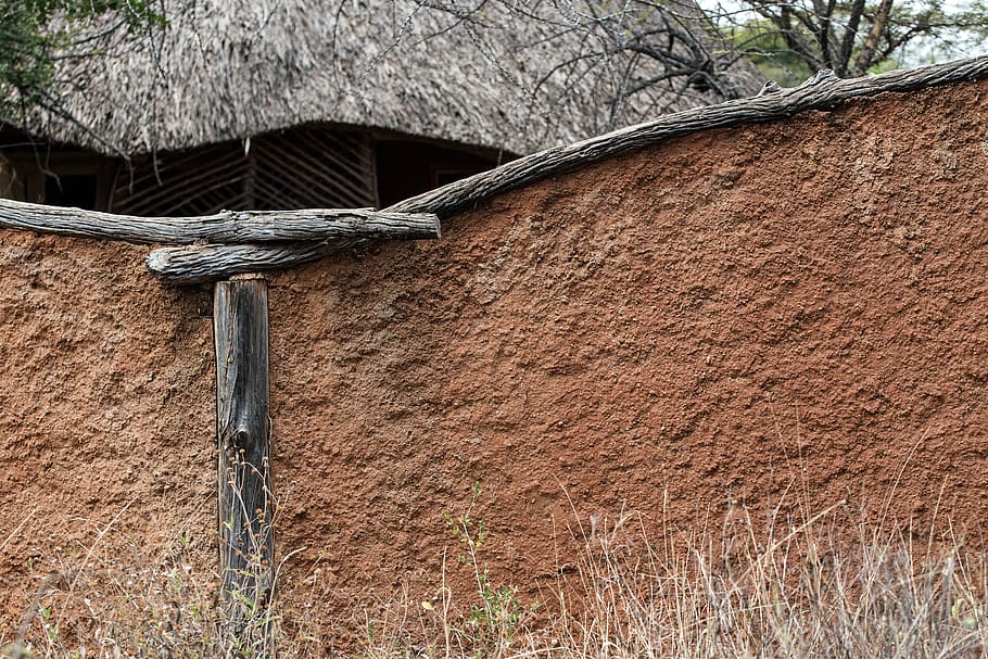 kenya, isiolo, lewa wildlife conservancy, african, texture, HD wallpaper