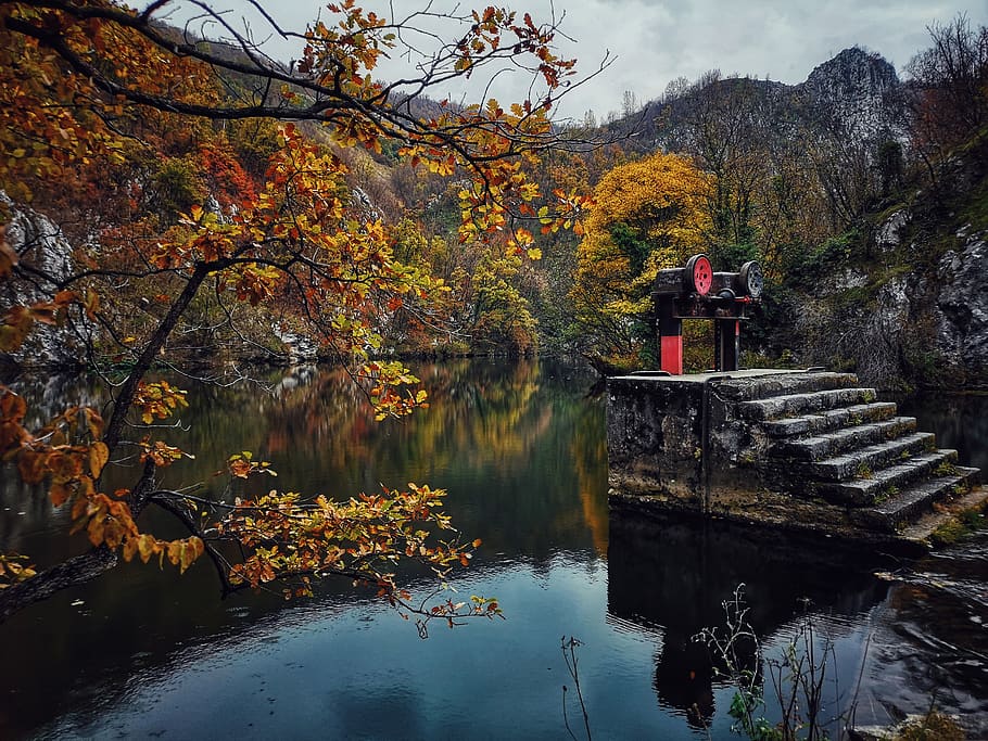 serbia, zlatiborski okrug, e-761, autumn, tree, water, plant, HD wallpaper