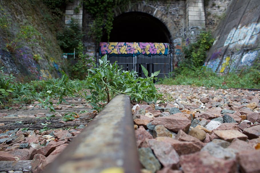 abandoned, old, rail, plant, arch, architecture, nature, built structure HD wallpaper