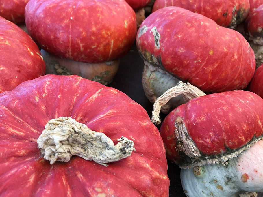 toadstools, fall, autumn, harvest, red, white, food and drink HD wallpaper