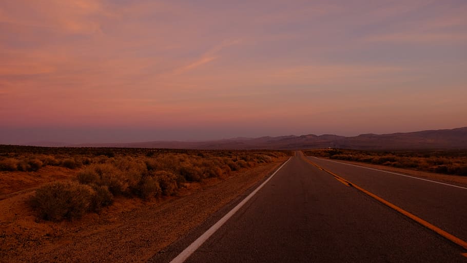Empty Road in Dessert, bushes, dawn, daylight, desert, dusk, evening HD wallpaper