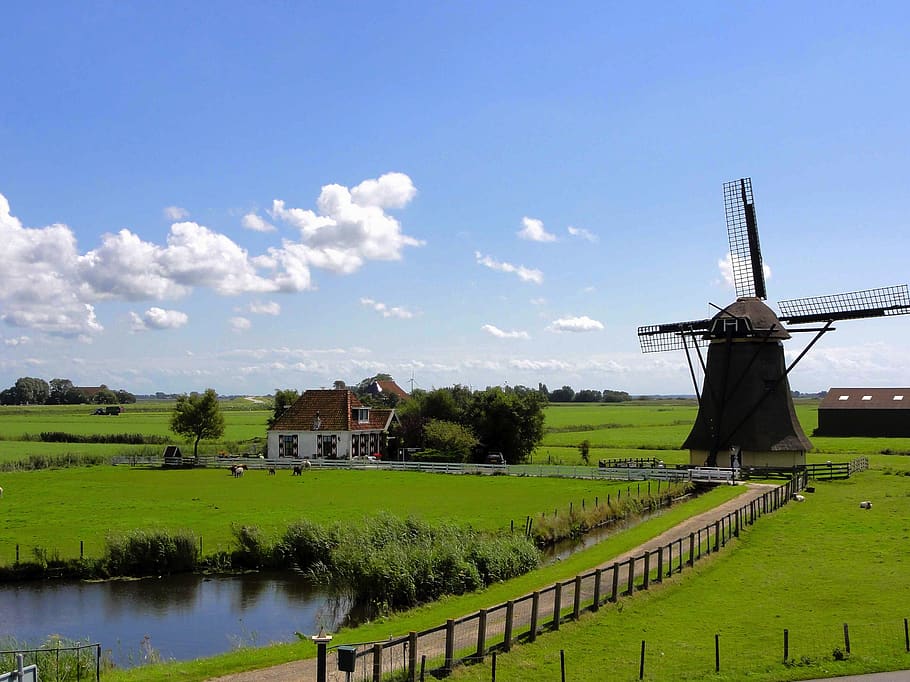 Windmill Surrounded by Grass Field, animals, barn, clouds, farm HD wallpaper
