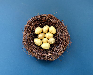 White Eggs in Brown Nest, blue, delicious, easter, easter eggs HD wallpaper