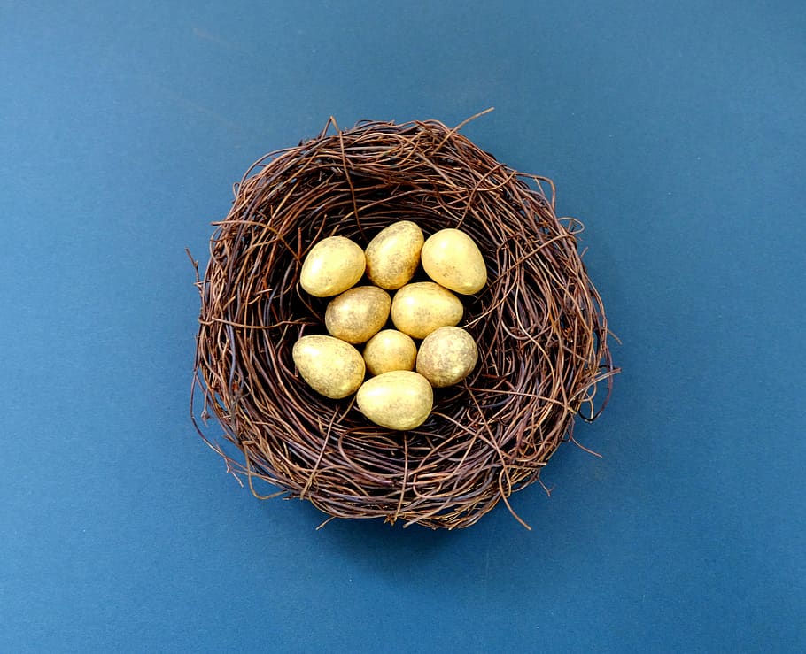 White Eggs in Brown Nest, blue, delicious, easter, easter eggs HD wallpaper