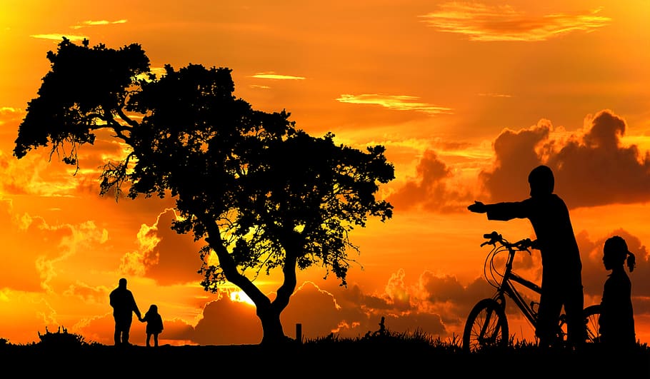 sunset, dawn, silhouette, tree, nature, sky, outdoors, summer HD wallpaper