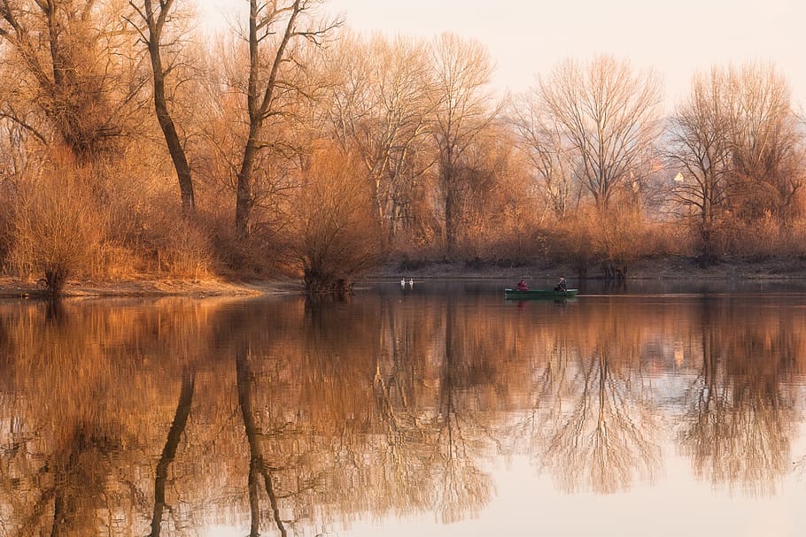 water-mirror-reflection-of-brown-trees.j