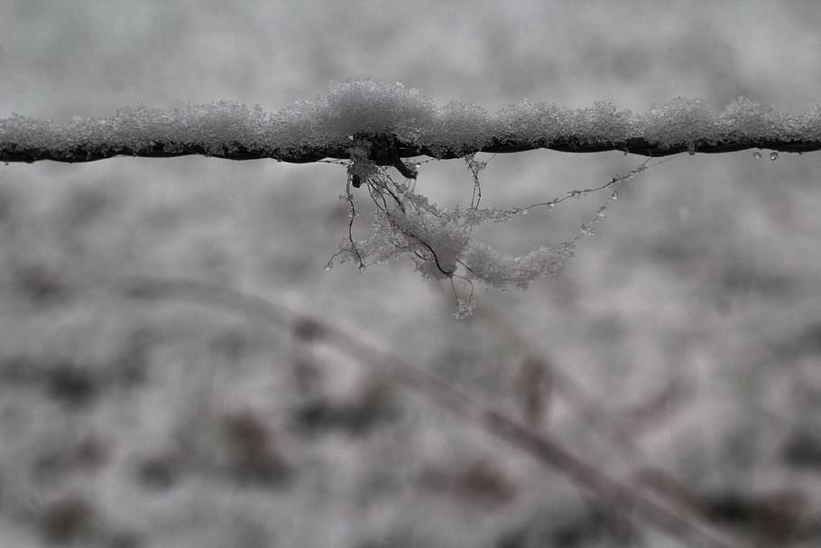 snow, winter, ice, macro, close up, light, finland, barbed wire HD wallpaper