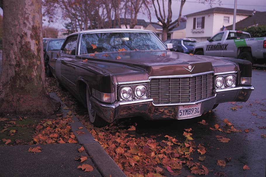 brown coupe near tree, car, motor vehicle, mode of transportation HD wallpaper