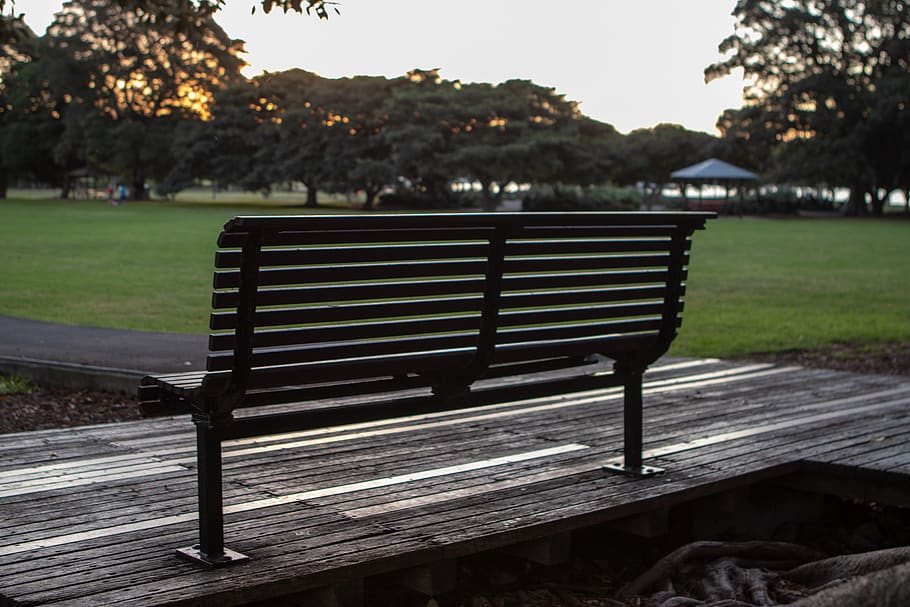 bench, park, sunset, wood, seat, outdoors, nature, plant, tree HD wallpaper