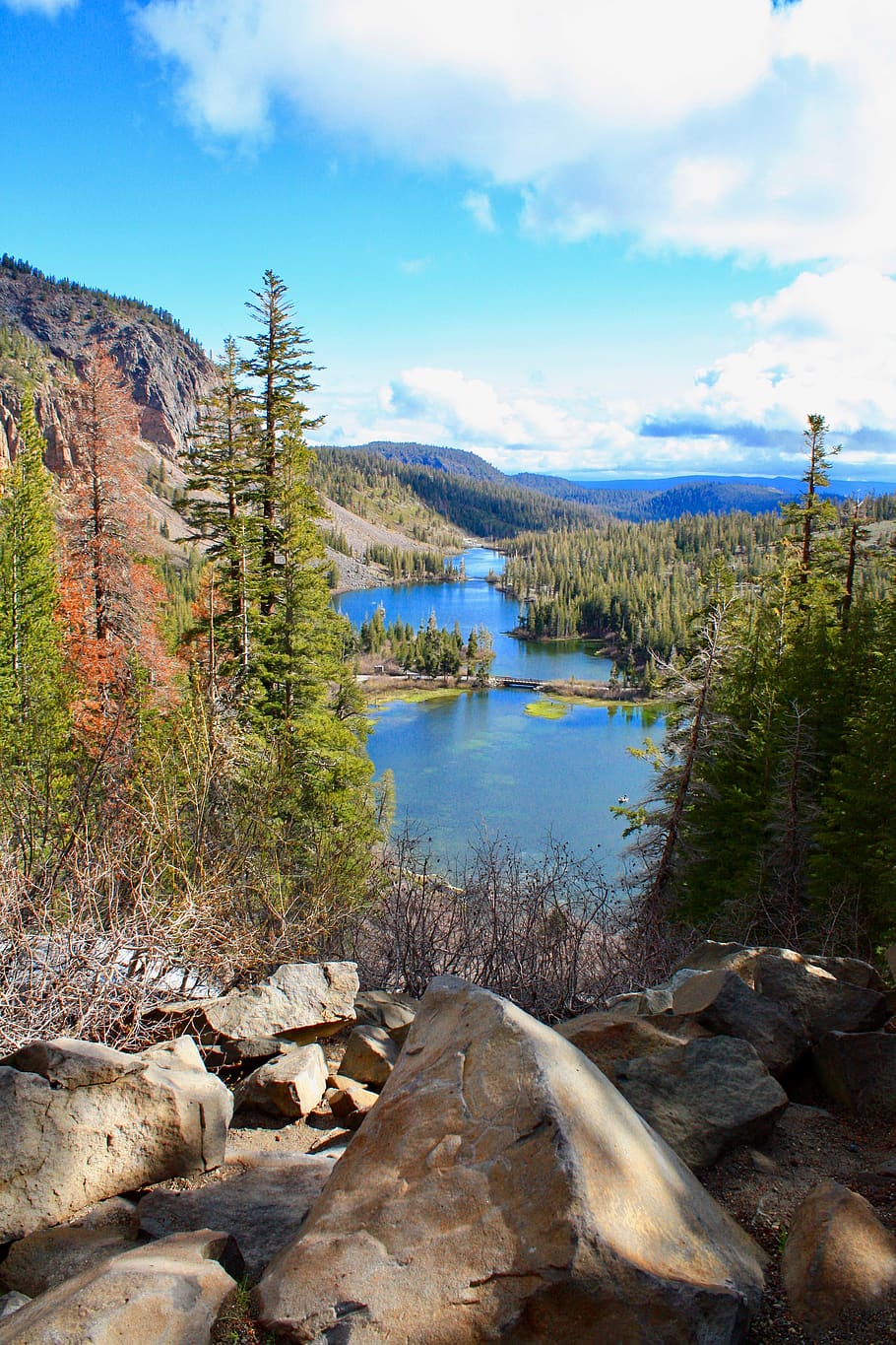 Body of Water Between Green Trees, clouds, daylight, environment HD wallpaper