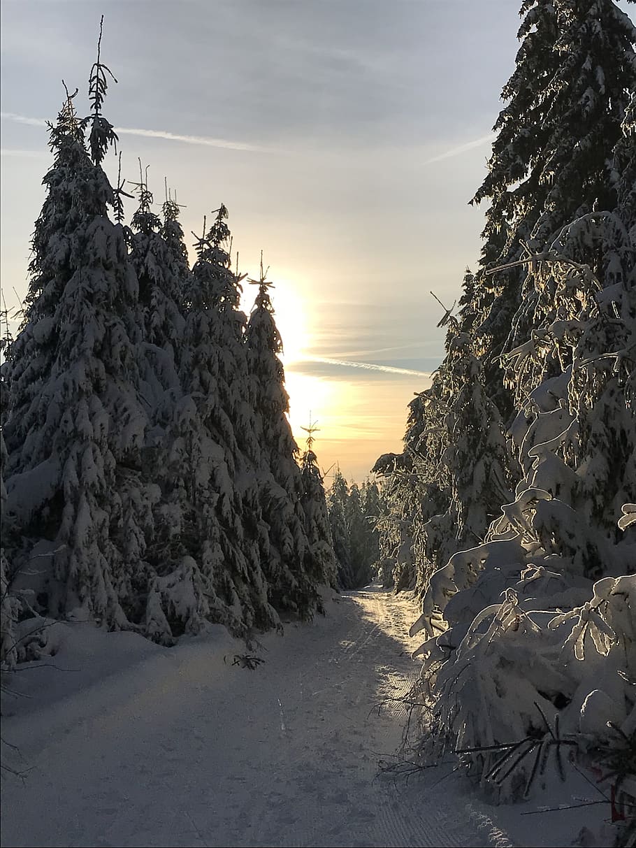 sunset, snow, landscape, hiking, dusk, cold, winter, trees HD wallpaper