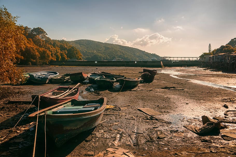 bridge, structure, boat, rope, soil, land, tree, plant, nature HD wallpaper