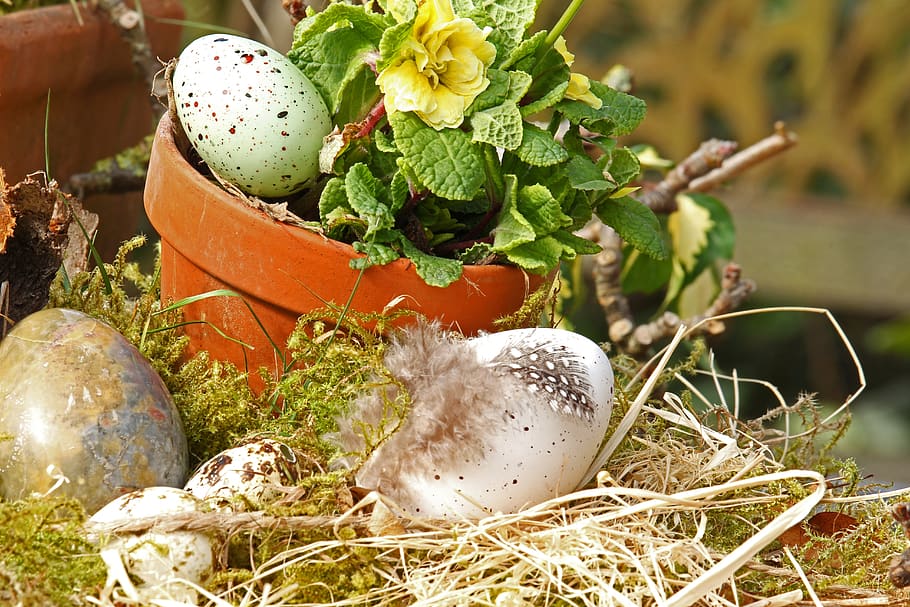 easter eggs, easter nest, easter decoration, easter theme, spring HD wallpaper