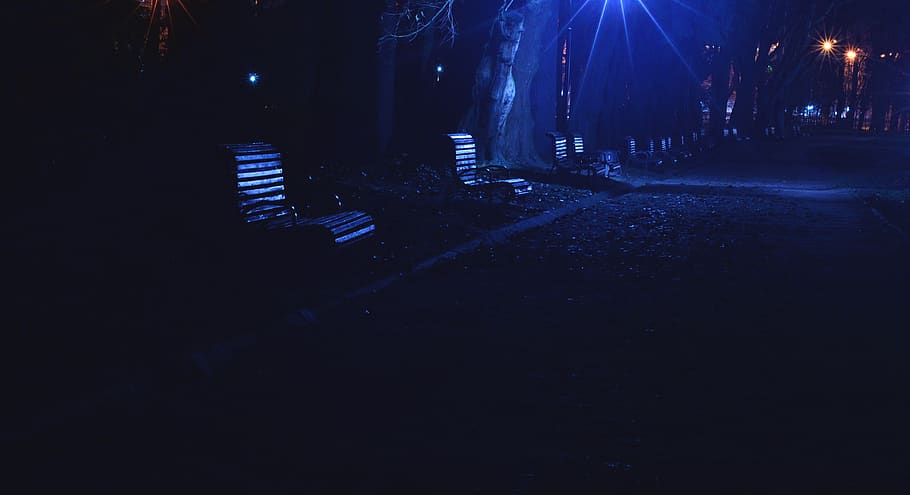 benches, light, blue, night, illuminated, city, architecture HD wallpaper
