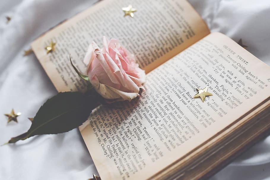 Tis But A Rose, flower, book, star, open book, page, leaf, leaves HD wallpaper