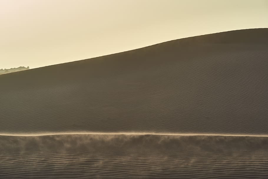 desert, soil, sand, nature, outdoors, dune, moving, background HD wallpaper