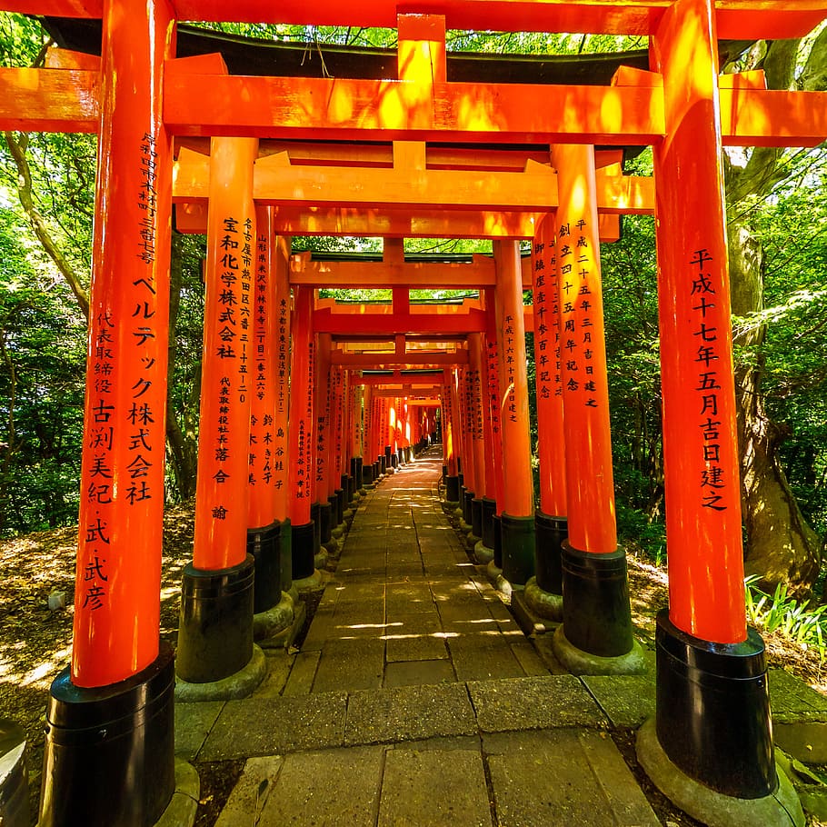 orange and black torii, japan, kyoto, gate, 14 inariyamakanyuchi, HD wallpaper