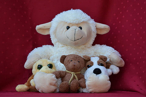 doudou, plush, sheep, turtle, bear, dog, cute, hug, toys, red HD wallpaper