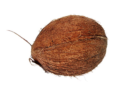 coconut, coconuts, cocos, cocoz, white, fruit, background, wood HD wallpaper