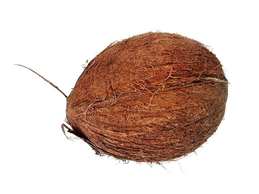 coconut, coconuts, cocos, cocoz, white, fruit, background, wood HD wallpaper