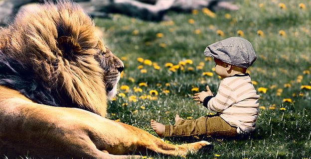 play, child, lion, fun, boy, son, kid, happy, baby, outdoors HD wallpaper