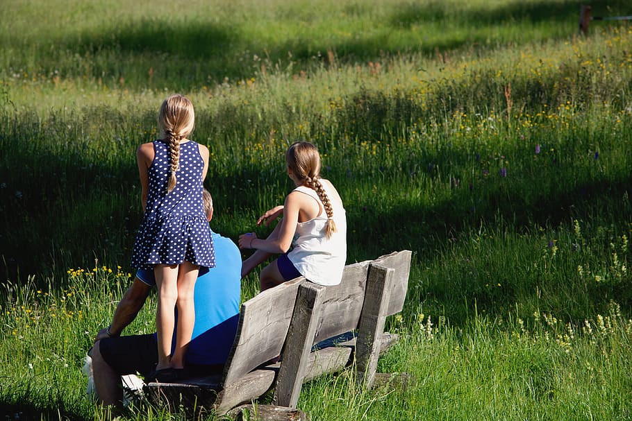 bench, click, rest, summer, nature, family, meadow, grass, recovery HD wallpaper