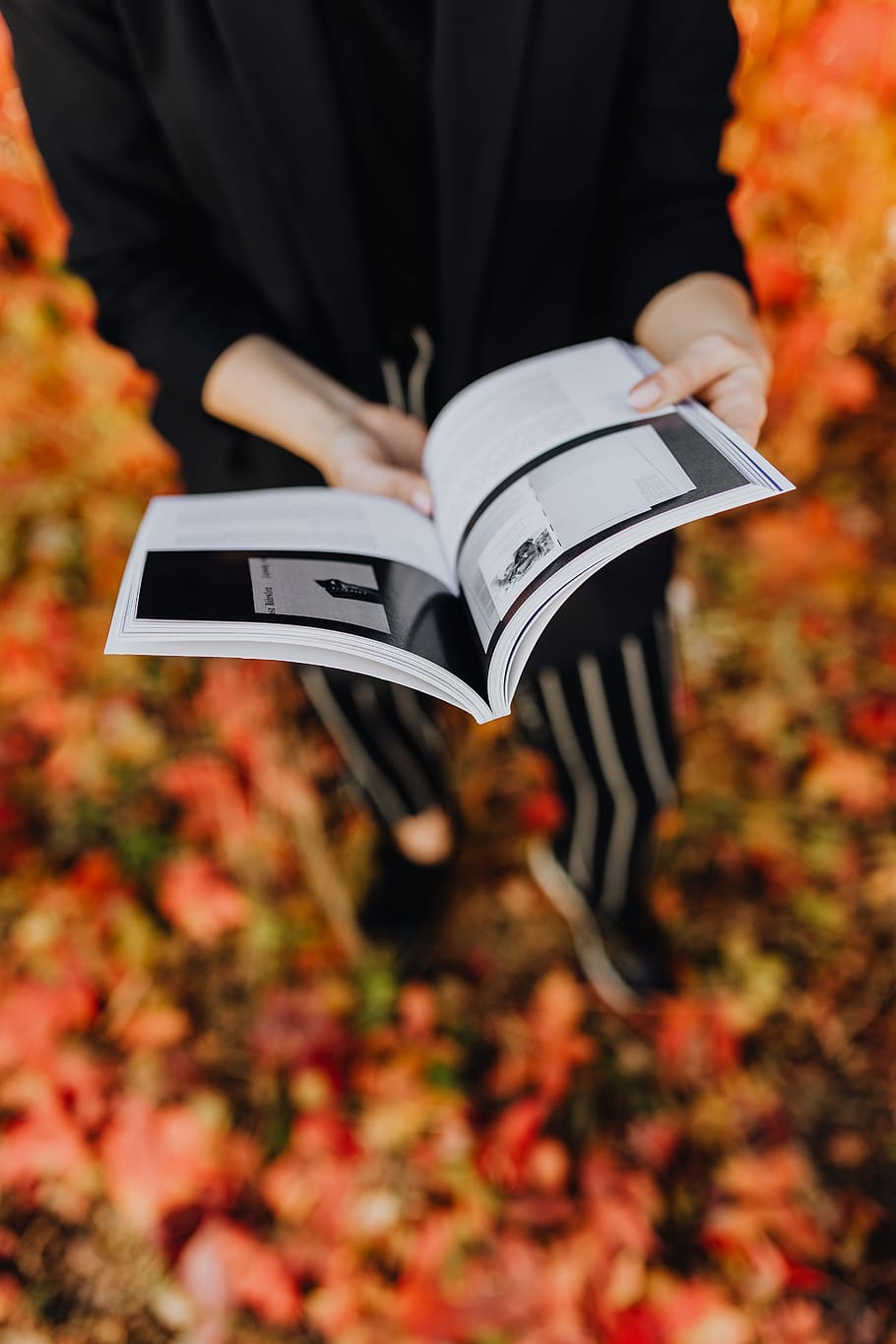 Girl with the Grafconf book on the background of colourful leaves HD wallpaper