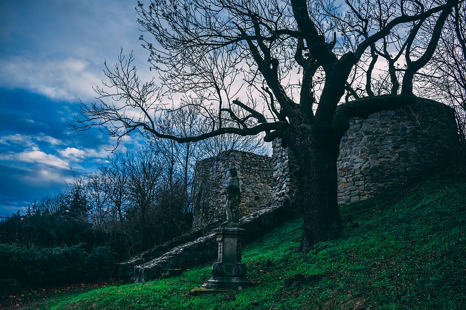 Leafless Tree Beside Gray Concrete Statue, blue sky, branch, castle HD wallpaper