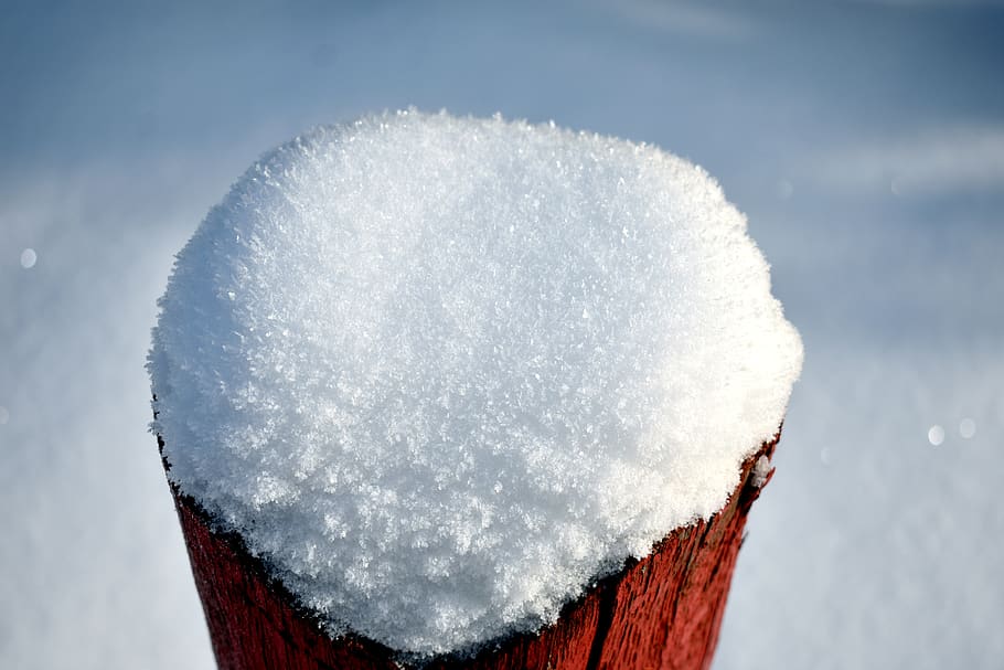snow, white, winter, cold, frost, mood, tree, frozen, nature HD wallpaper