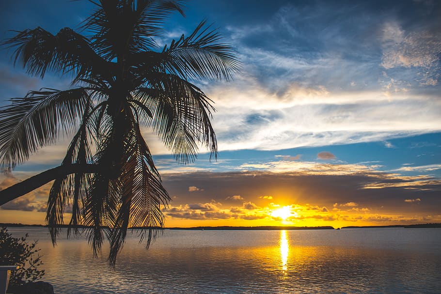 miami, keys, keywest, sunset, sky, clouds, palms, beach, beauty in nature HD wallpaper