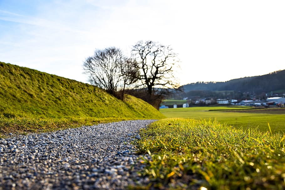 away, spring, road, nature, green, path, tree, meadow, trail HD wallpaper