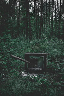 tree, sledgehammer, aqua green, dark green, pale colour, old HD wallpaper