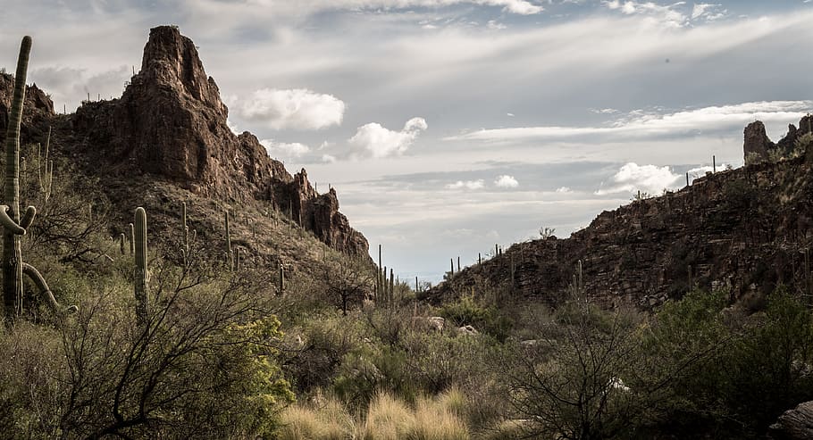 mountains, rock, cactus, sky, hiking, travel, exploring, desert HD wallpaper